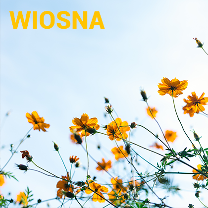 Zegarki dla typu urody: WIOSNA