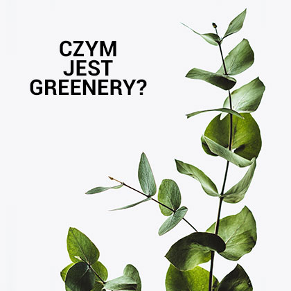 Greenery - motyw przewodni wesela